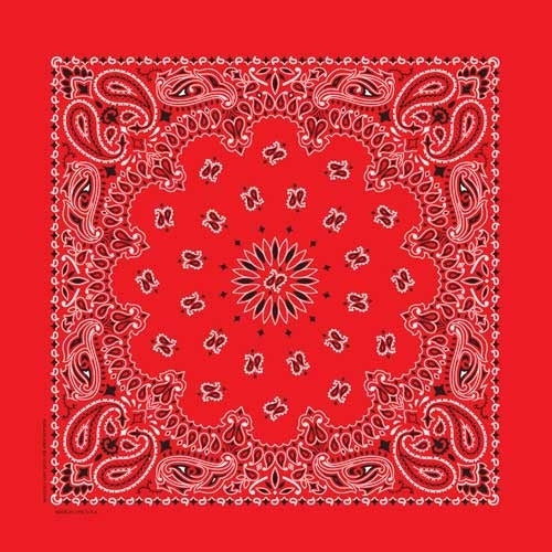 BD2500 Bandana Paisley Red