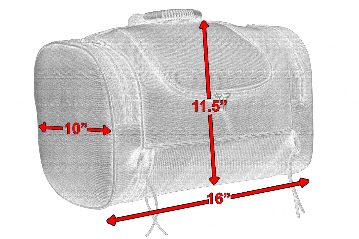RC Sissy Bar Carry Bag