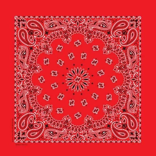 BD2500 Bandana Paisley Red